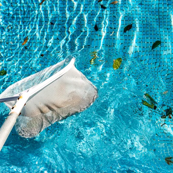Pool Maintenance Services